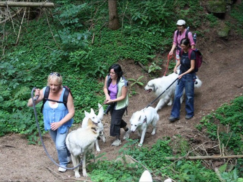 Rencontre Auvergne 2011