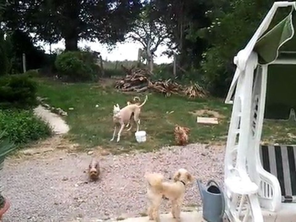 Vidéo0010