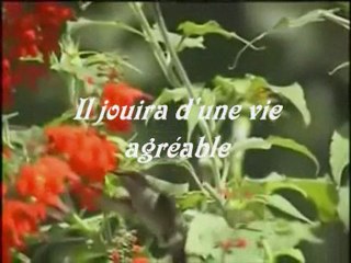 Magnifique récitation Salman Al-Utaybi Al-Haqqah v.9-37 !!!