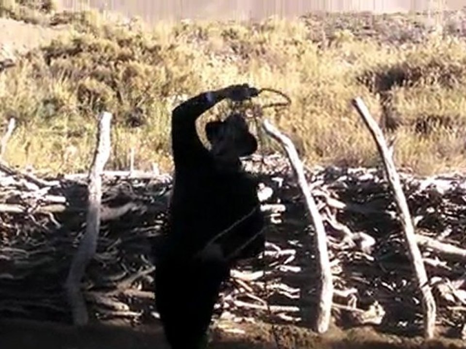 Edgar s'essayant au lasso... euh... je crois qu'il n'a pas réussi à attraper sa monture !