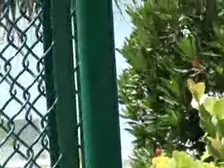 Saint Petersburg Home of a Renewable Energy Revolution