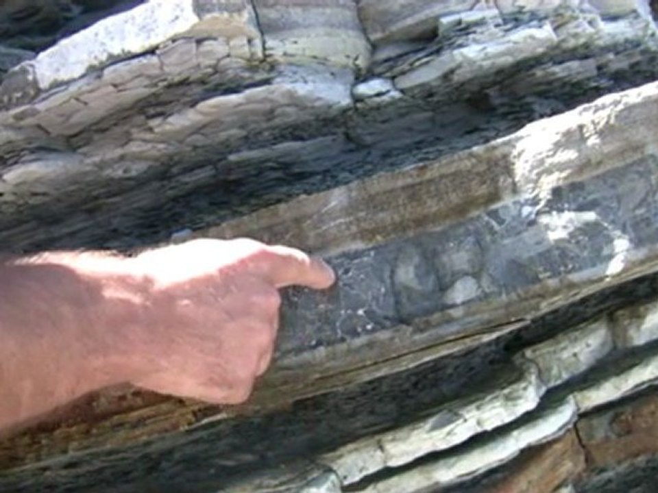 03a - Du silex dans du calcaire