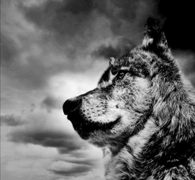 Mustafa Yıldızdoğan - Başbuğlar ölmez (Remix) ve şehitler ölmez (Remix) - DJ Paşa (Amsterdam)