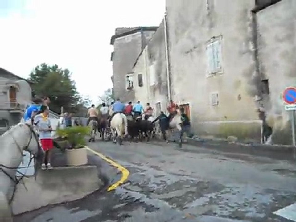 bandidas aigremont 7/08/2011