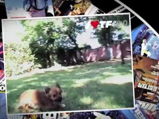 J'aime ta femme - JTF2.0 - 12