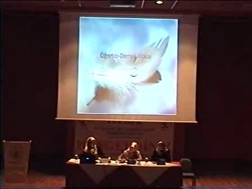 Emine Sağlam-2_Değerlendirme-1