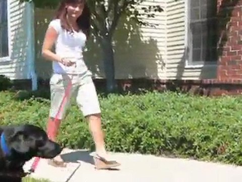 The Carriage Homes at Wyndham Apartments in Glen Allen, ...