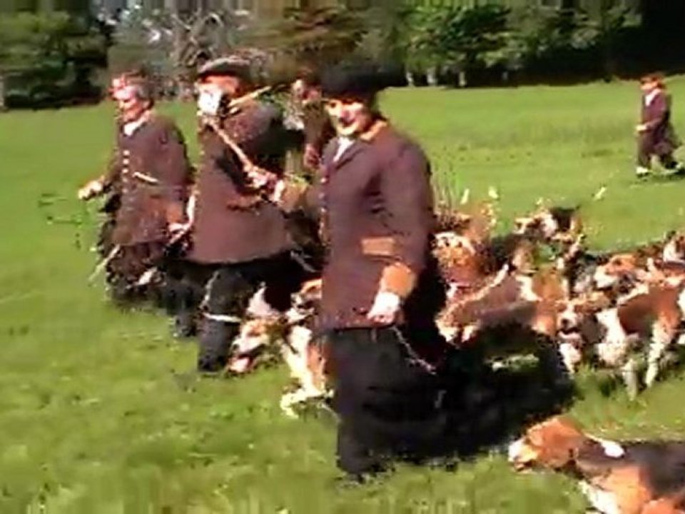 meute