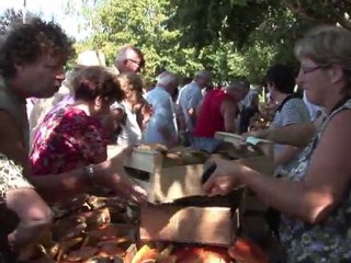 Chaotic weather produces bumper crop of cepes in France