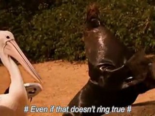 Nim.s Island - 07 - Watch32.Com