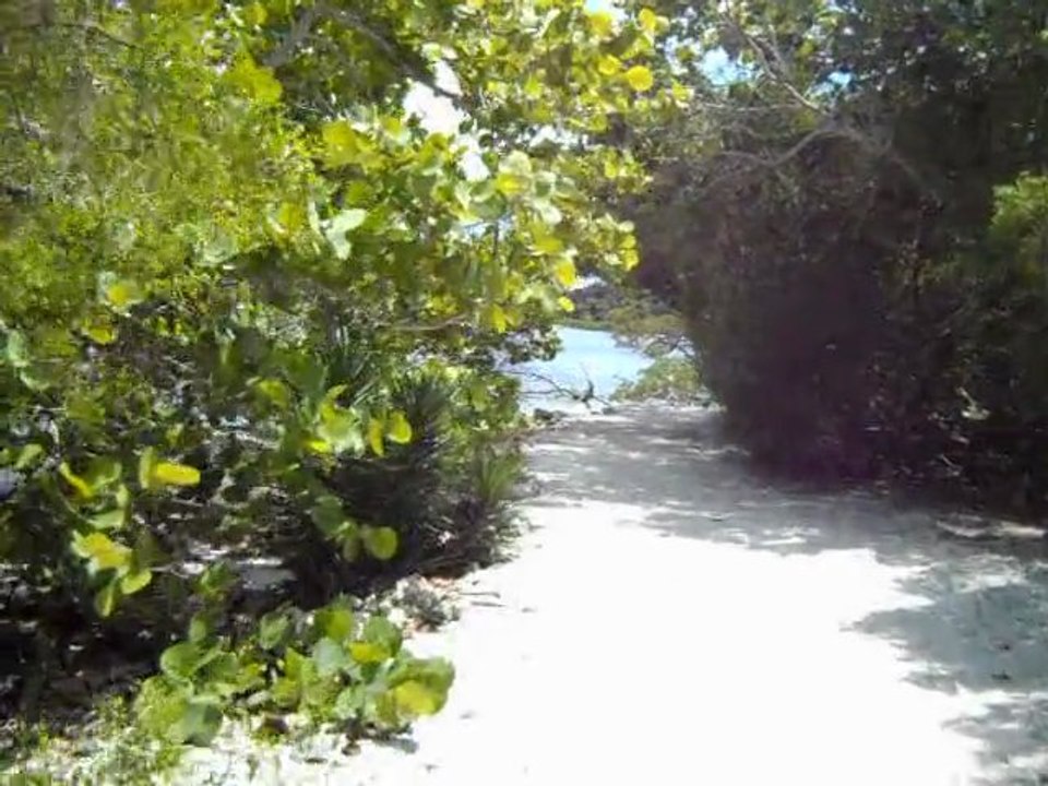 DSCN0206