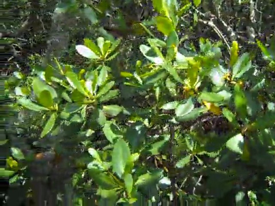 DSCN0205