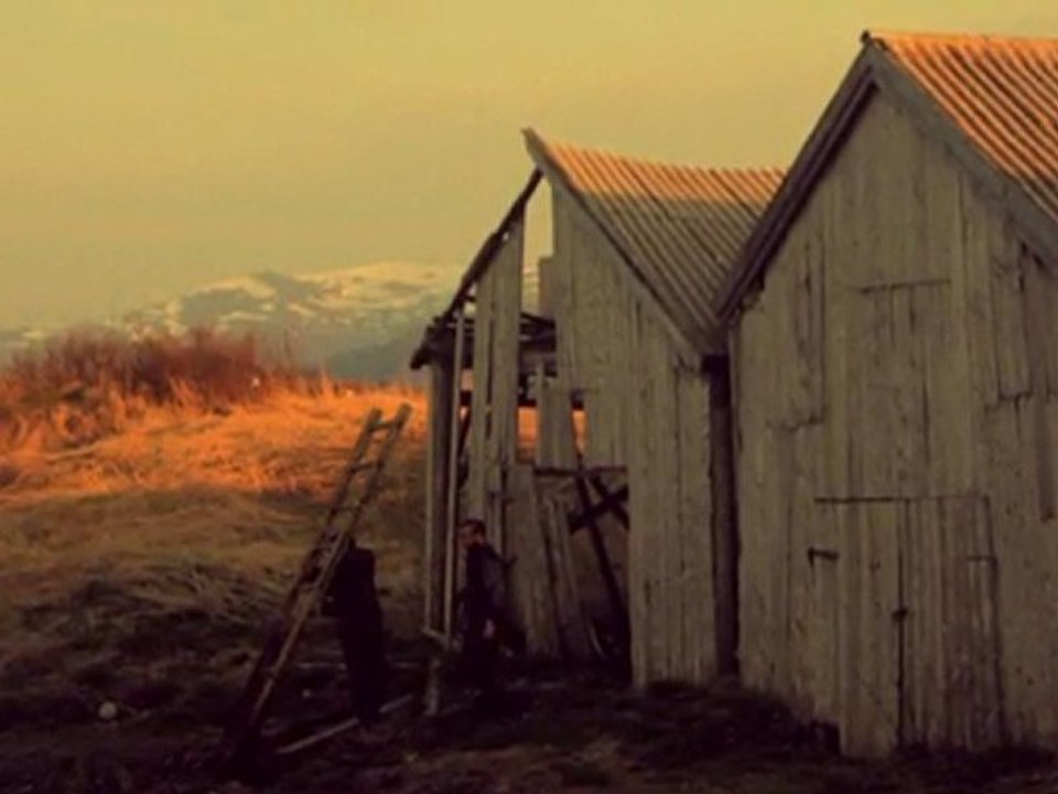 Roll The Dice - In Dust