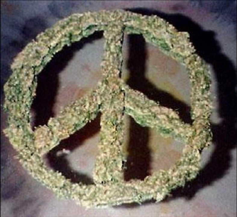 reggae connection