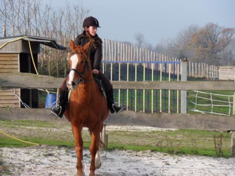 Steffie et Merry, Marine et Worka.
