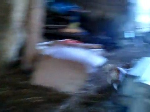 Early et les bottes de foin 08/08/11