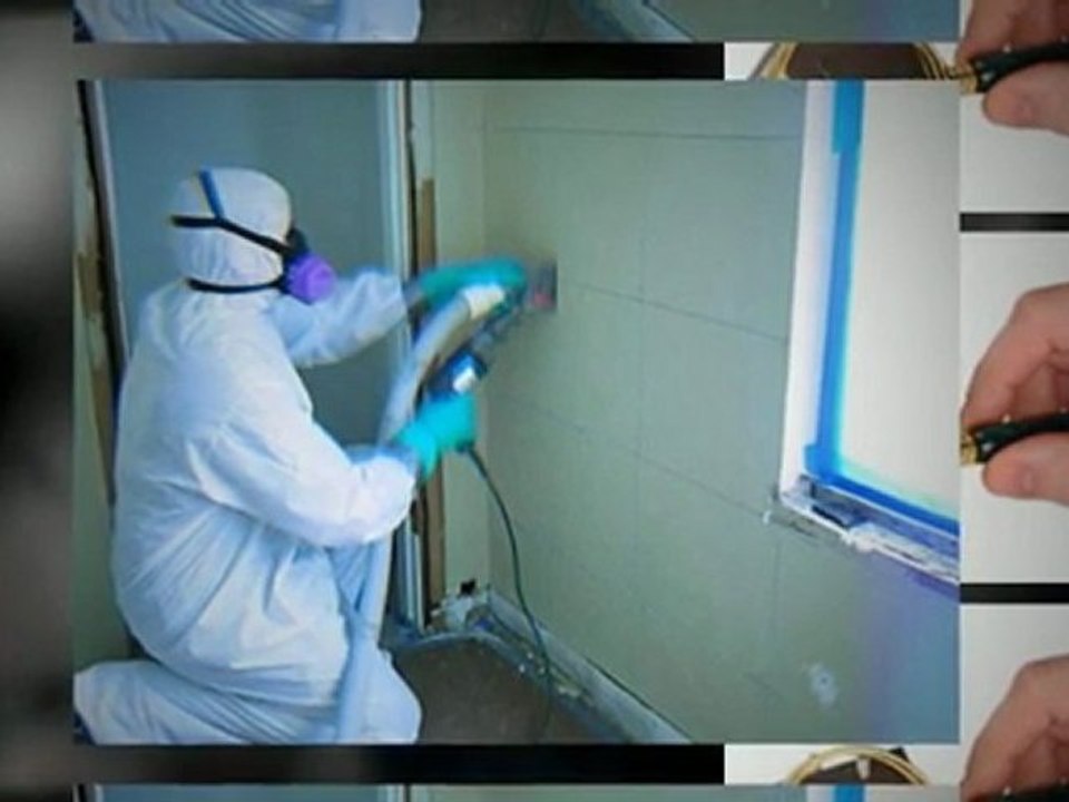 Removing mold in your home