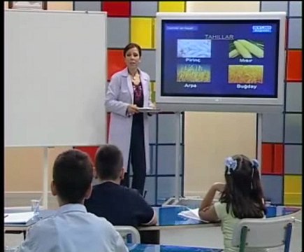 İlköğretim 5. Sınıf Fen ve Teknoloji