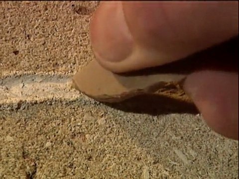 Lascaux préhistoire de l'art