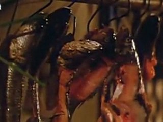 Once Upon A Time In China - 07 - Watch32.Com