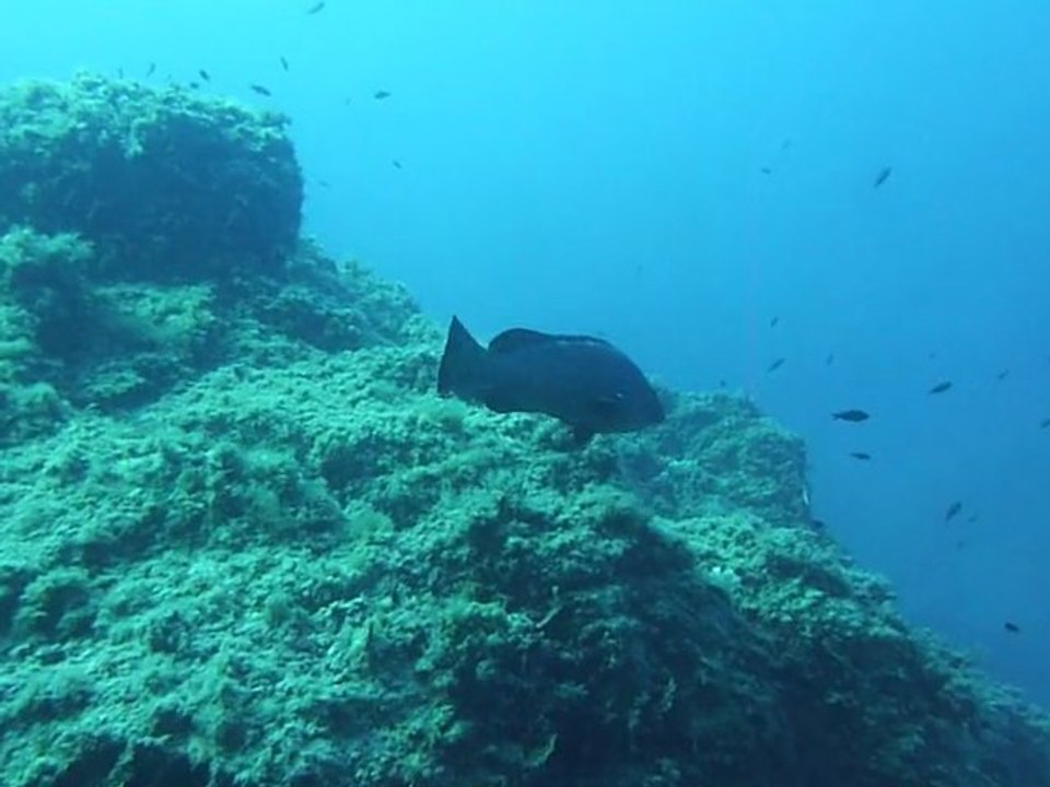 P1050736