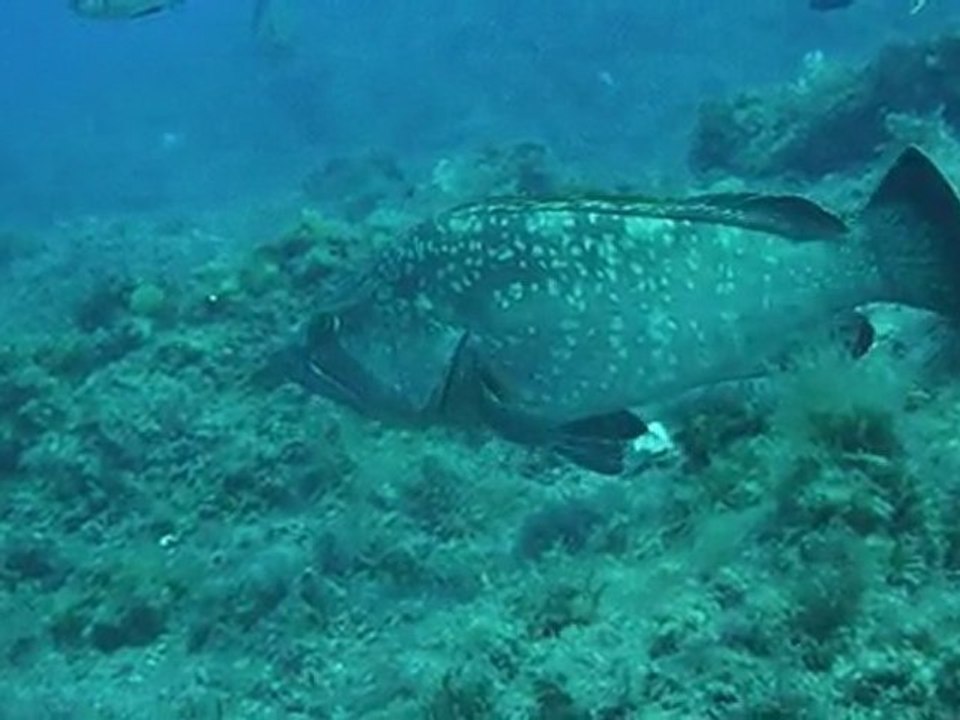P1050744