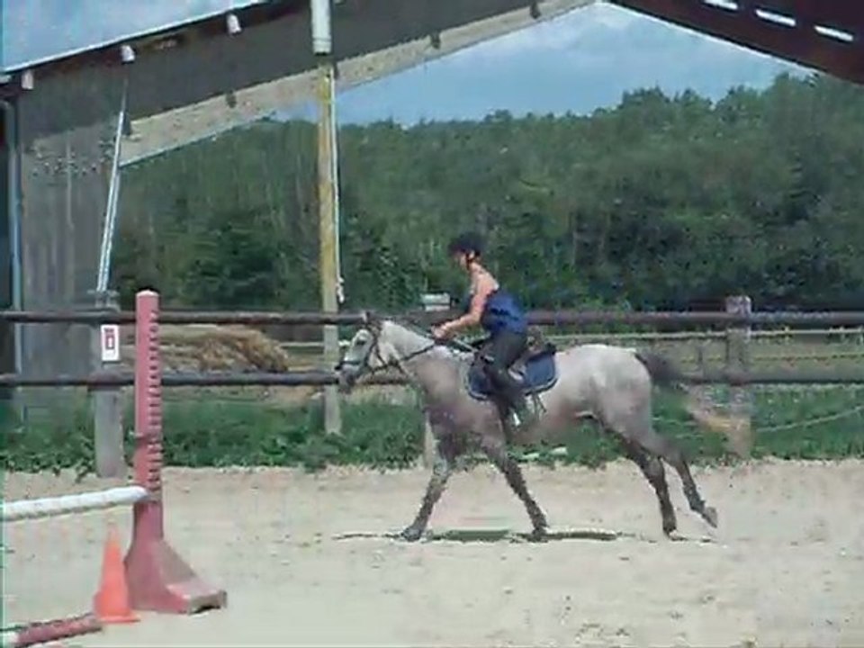 Tenessee barres de reglages au trot