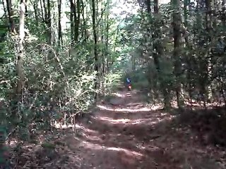 Elefant 750 Monofaro : presque une moto d'enduro !