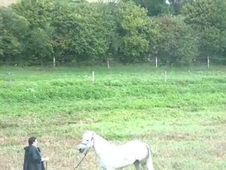 06.08.2011.zf.olympic