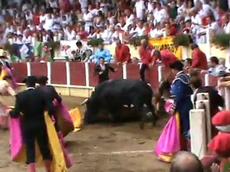 Le piquerro de Parentis