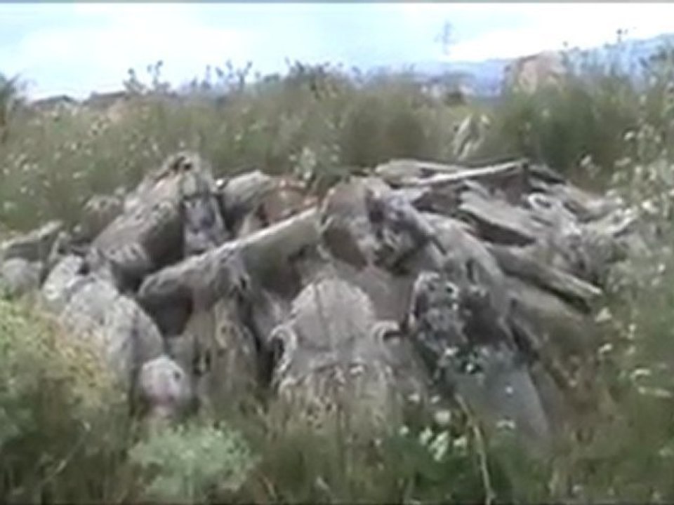 Mezar taşları mezarlığı