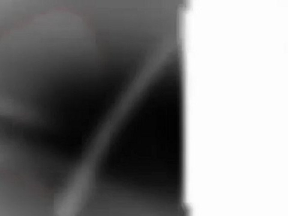 Indianapolis Photographers - Photographers Indianapolis