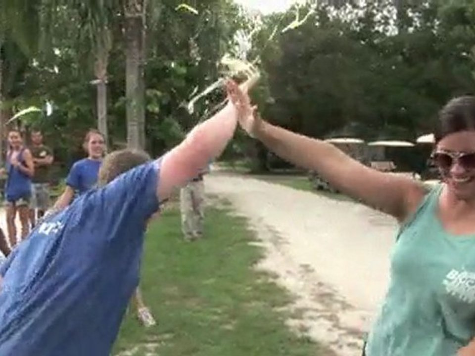 Big Cat Challenge!