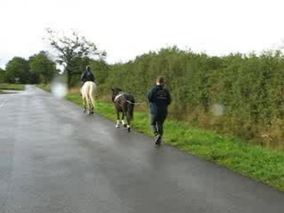 choune o longue rene