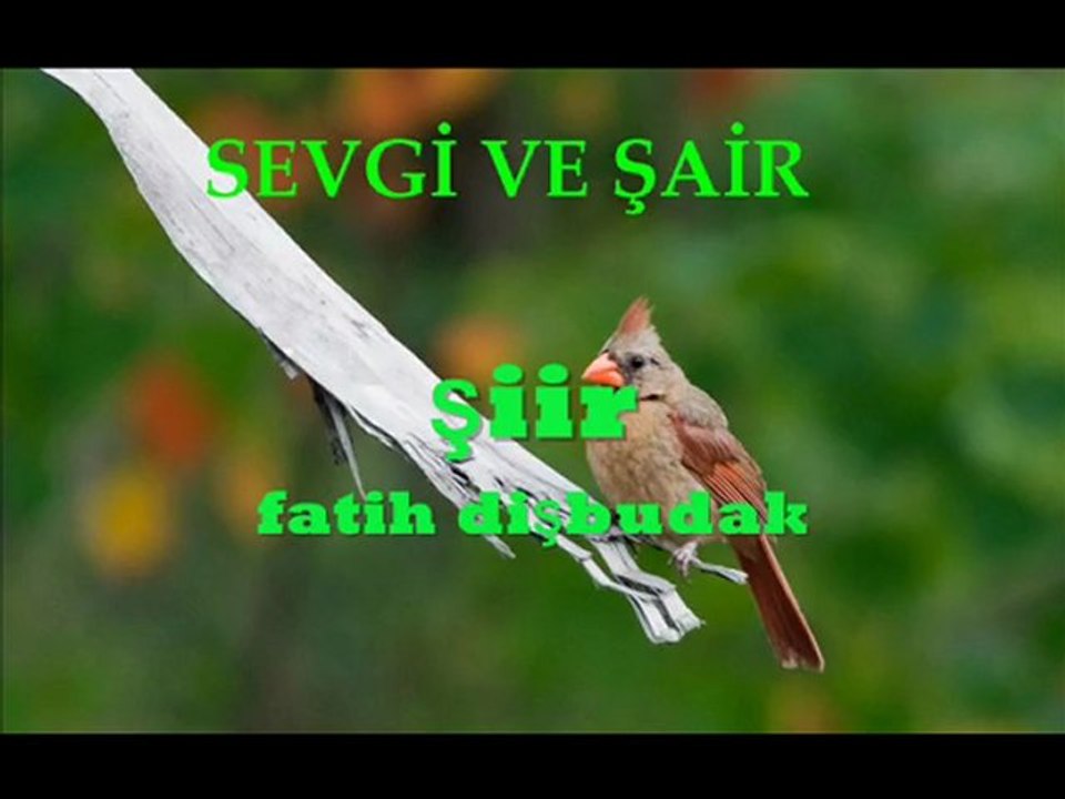SEVGİ VE ŞAİR