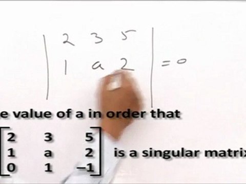 Matrices & Determinants - Evaluate determinants & solve