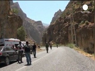 Turkey strikes back after ambush on military