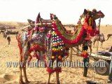 Camel Decoration10, Camel festival