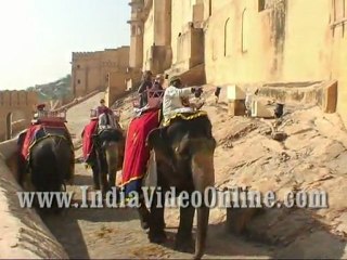 Elephant Safari, Jaipur