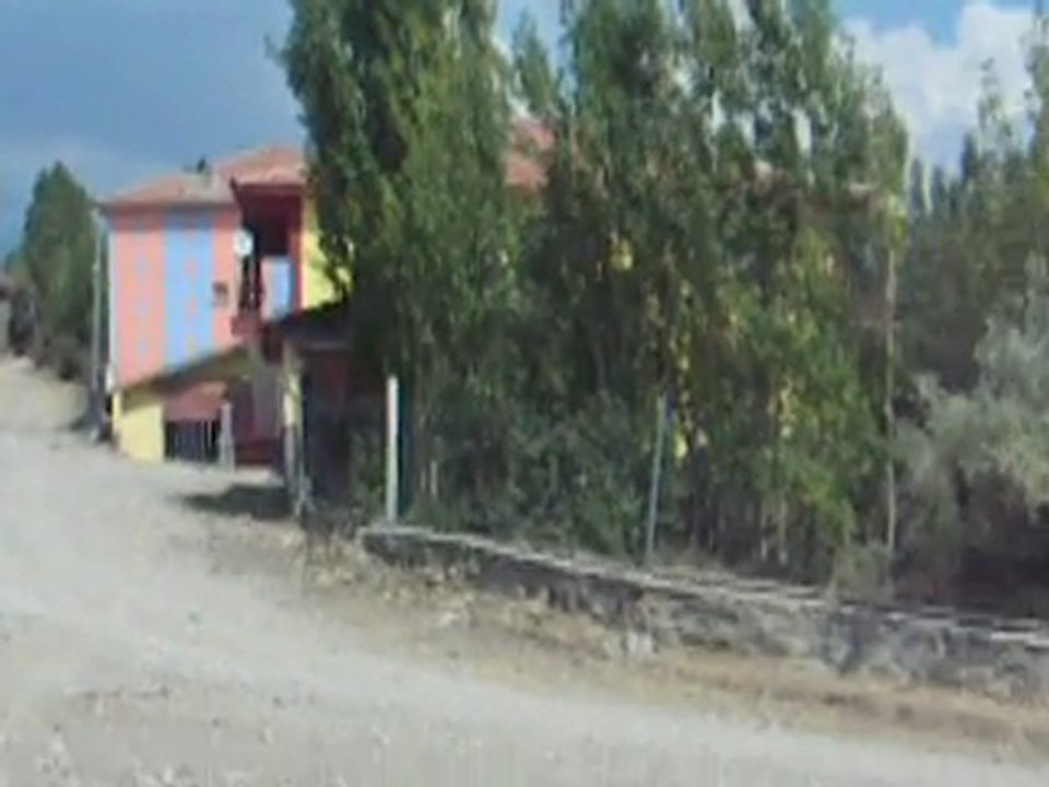 koy_1