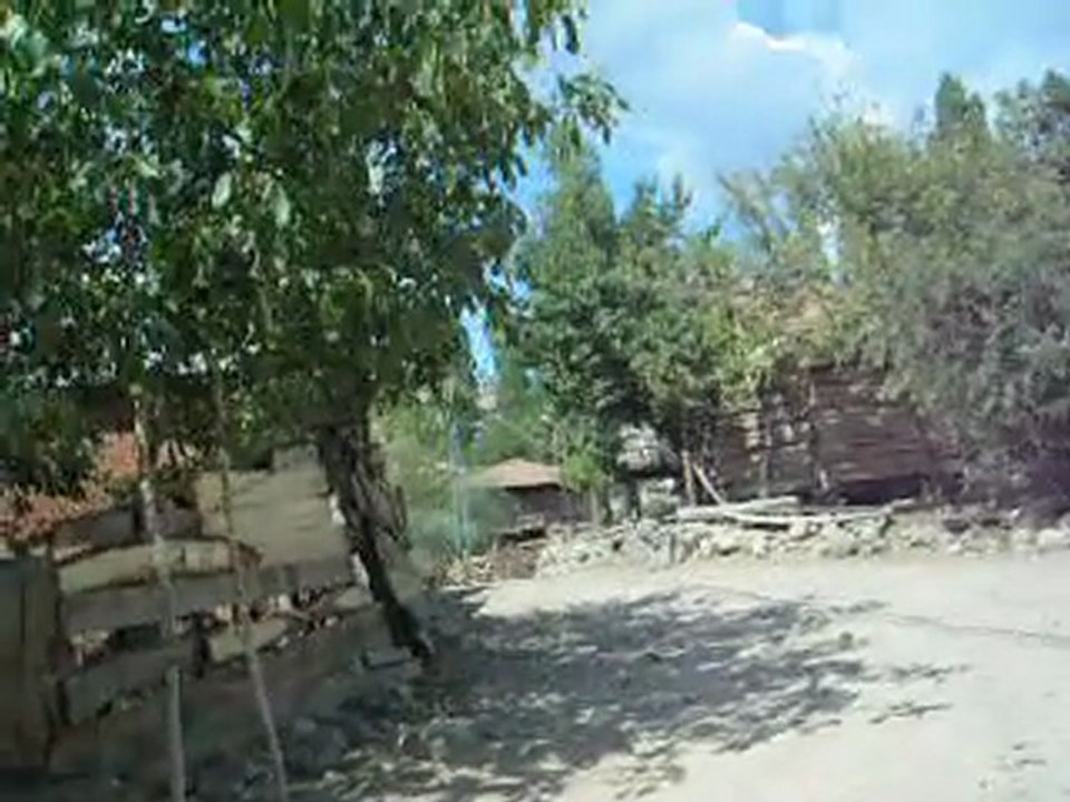 koy_3