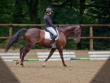 Concours de dressage à Gueret (17.07.11)