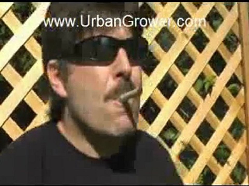 UG 23 Intro