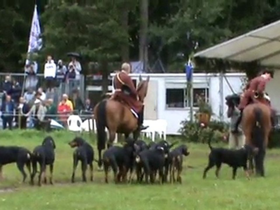 CARROUGES 2011 La Roirie