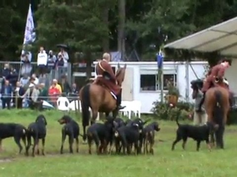 CARROUGES 2011 La Roirie