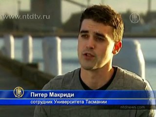 Нефтяники и ученые исследуют океан вместе