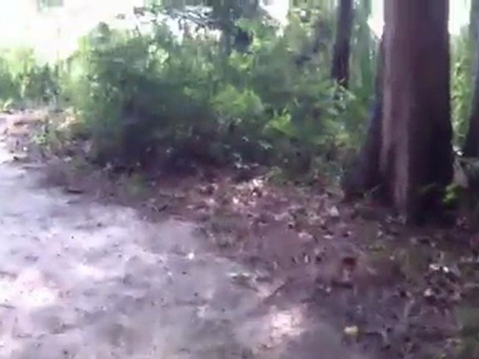 Gravel Slide Fail: Watch As This Old Grandpa Flies Over His Handle Bars and Wipes Out On His Mountain Bike Somewhere in Kingwood, Texas