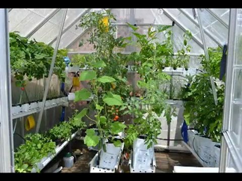 Urban Food Farms - Sustainable Food Systems for The City