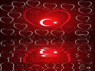 taşları bağlamışlar köpekler serbest