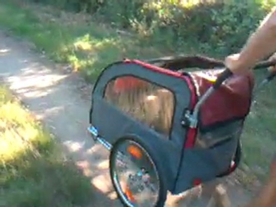 les vacances de Calinou 2011